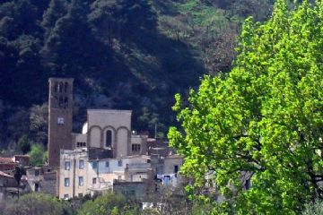 Sfoglia la galleria
