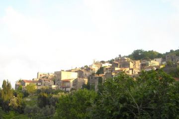 Sfoglia la galleria